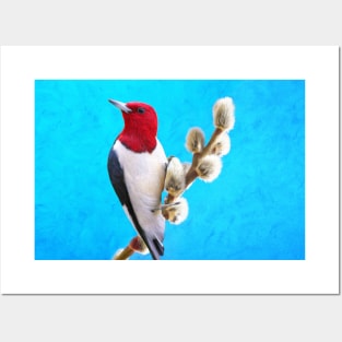 Red Headed Woodpecker Posters and Art